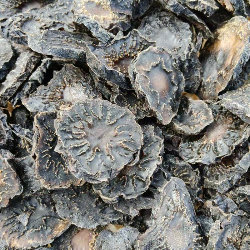 软质肉苁蓉黑色切片