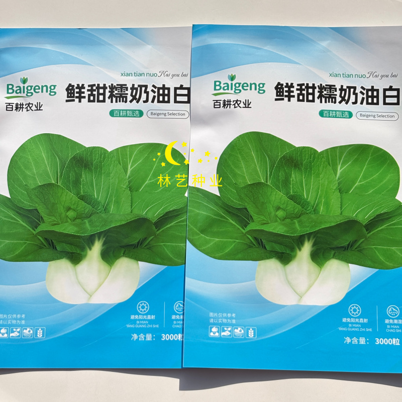 鲜甜糯奶油白菜种子矮脚软糯鲜美黄奶油白菜新鲜矮脚青菜种籽