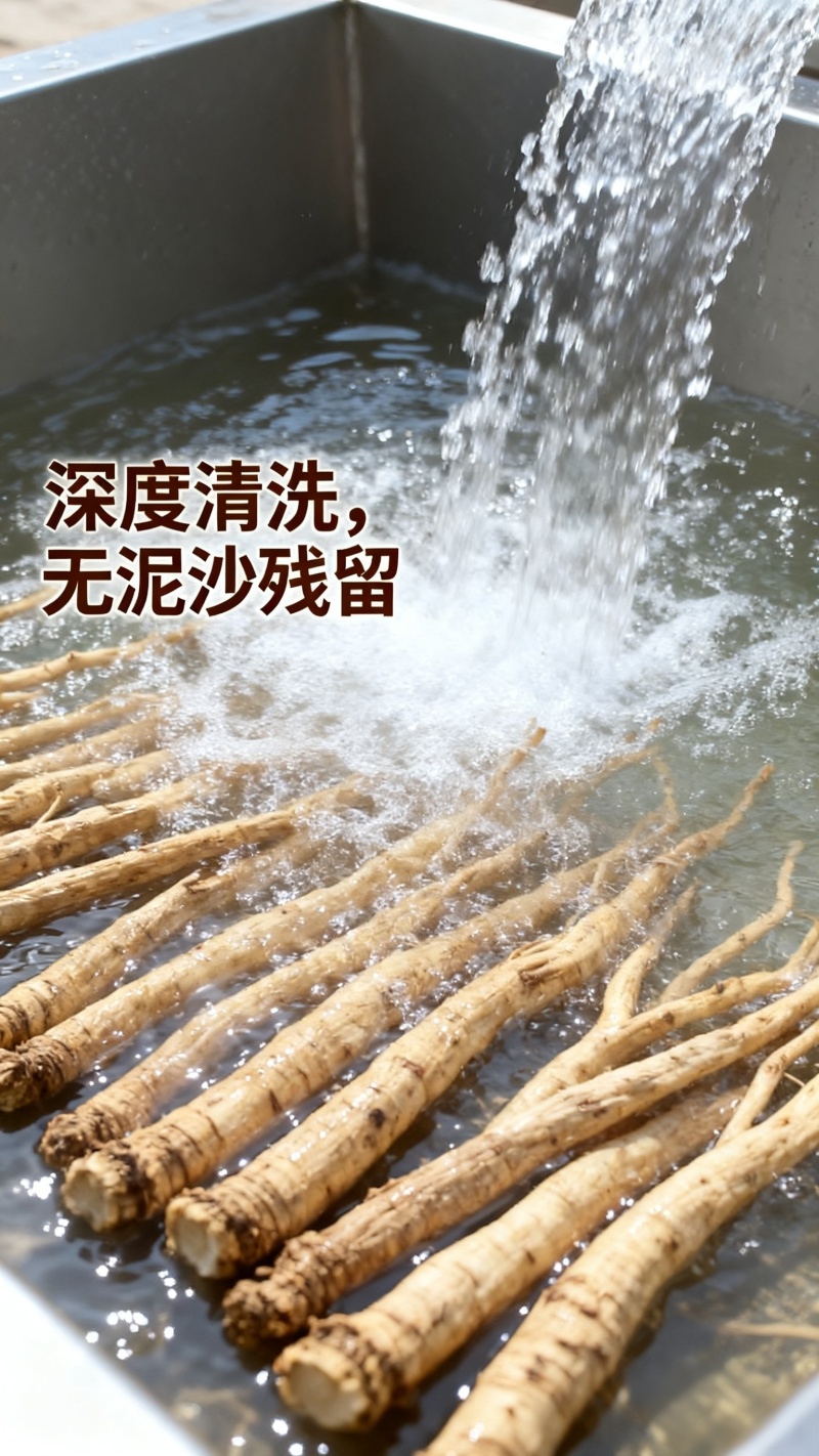 正宗甘肃岷县党参，原产地直发，无硫薰