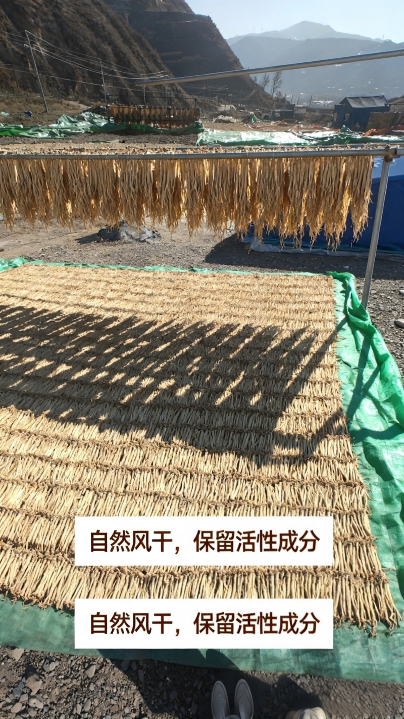 正宗甘肃岷县党参，原产地直发，无硫薰