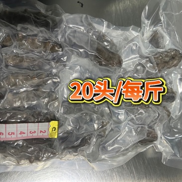 山东济南即食海参12个月保质期源头直发