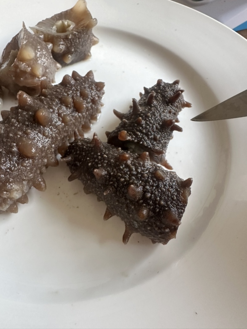 即食辽刺参低温保存保质期一年口感Q弹有嚼劲