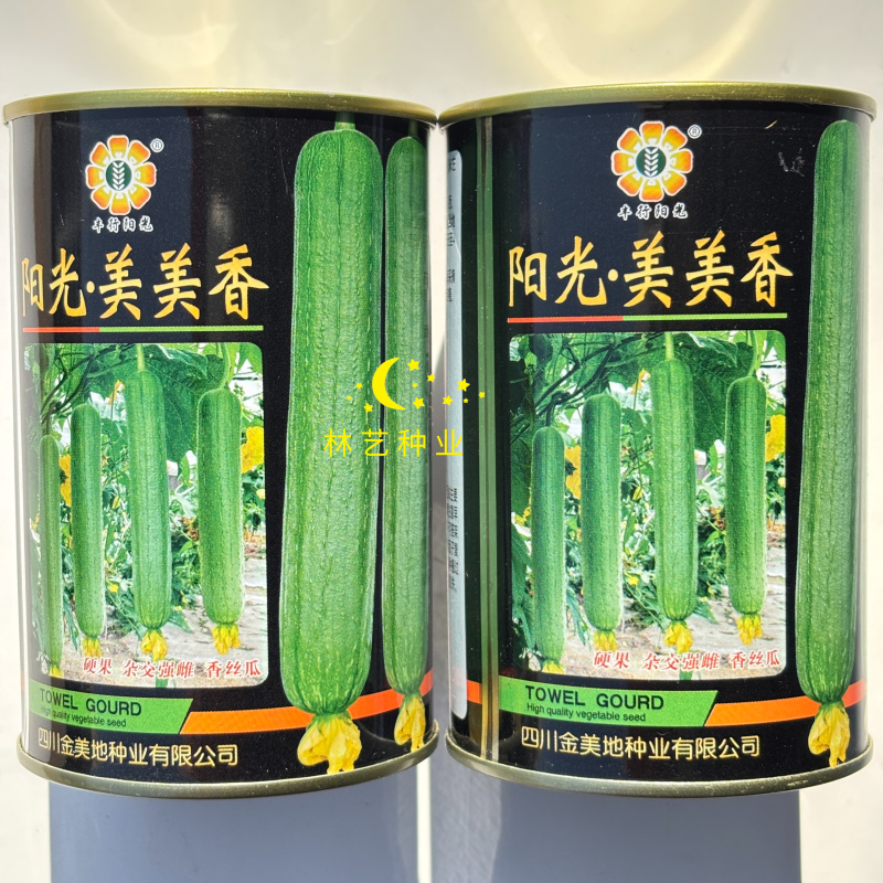 阳光美美香硬果香丝瓜种子早熟高产耐氧化耐低温