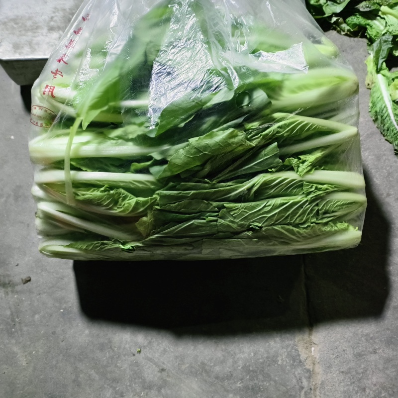 快菜