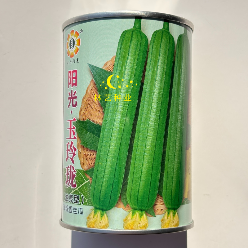 阳光玉玲珑短棒油亮丝瓜种子早熟高产抗病耐寒耐热
