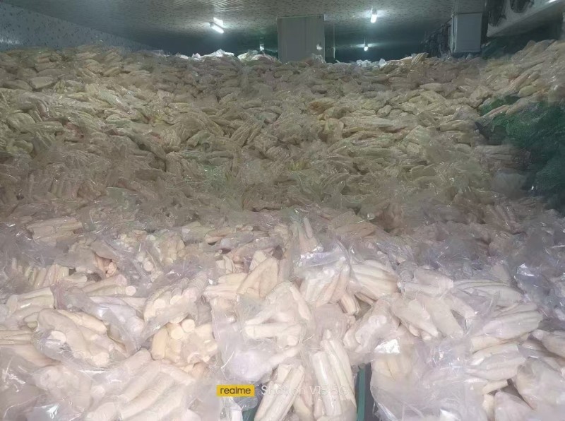 黄肉木薯产地一手货直销诚信合作欢迎来电咨询