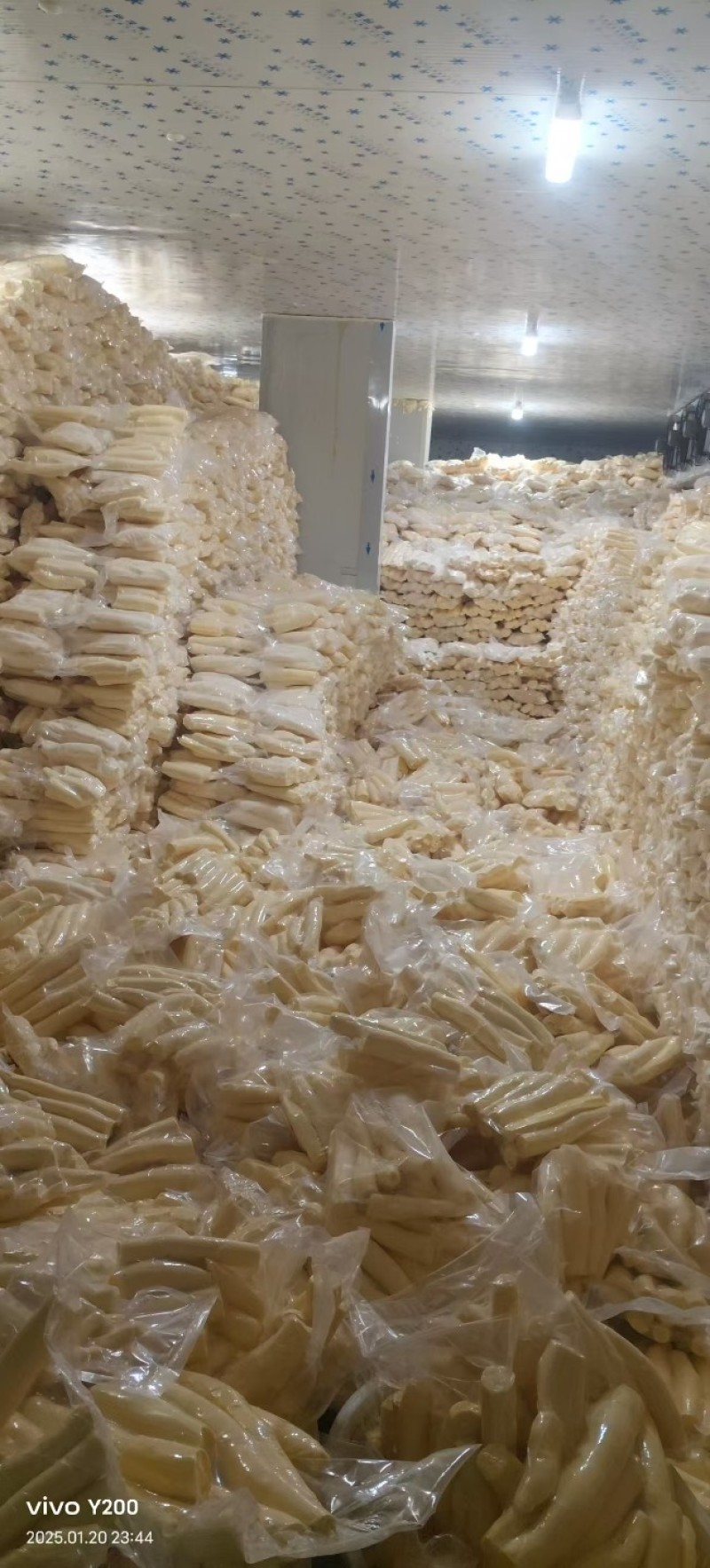 黄肉木薯产地一手货直销诚信合作欢迎来电咨询