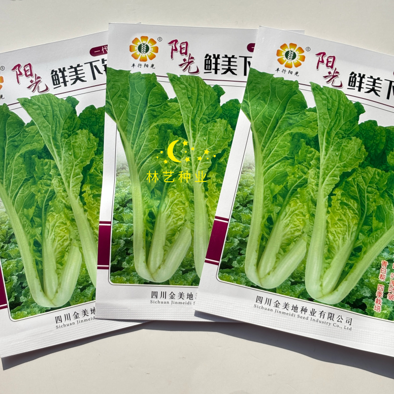 阳光鲜美下锅耙小白菜种子火锅菜高产小白菜四季播阳台蔬菜