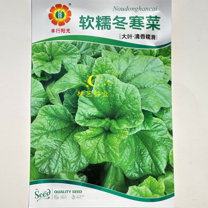 软糯冬寒菜种子高钙蔬菜冬葵菜苋菜种子耐寒四季阳台盆栽蔬菜