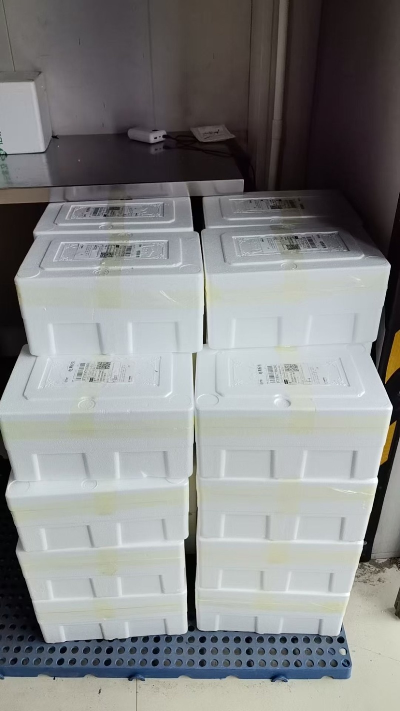 碱地柿子铁皮柿子草莓柿子番茄