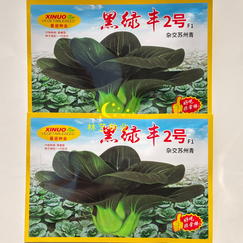 黑绿风2号矮脚苏州青种子油菜种籽青梗上海青菜籽小青菜
