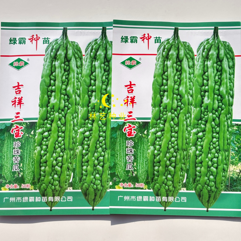 吉祥三宝苦瓜种子早熟杂交珍珠苦瓜厚肉果皮翠绿色春秋季苦瓜