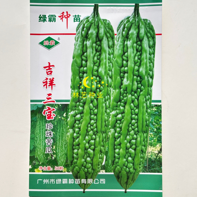 吉祥三宝苦瓜种子早熟杂交珍珠苦瓜厚肉果皮翠绿色春秋季苦瓜