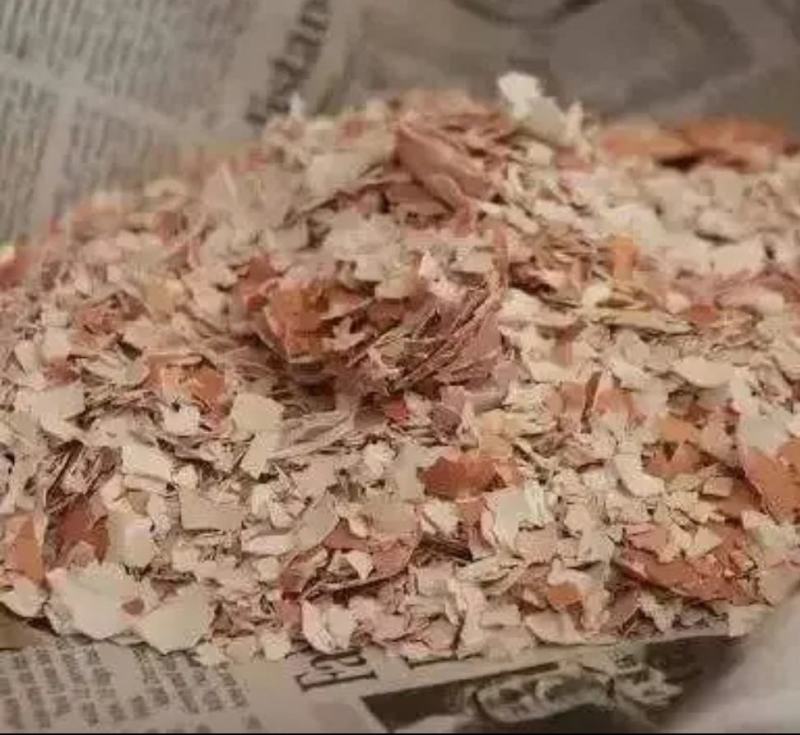 鸡蛋壳粉销售