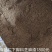食品厂下脚料浓香芝麻渣，蛋白约33个脂肪约8个，适合养殖