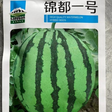 美都西瓜种子锦都号西瓜种抗病抗裂含糖量高大红肉产量高商