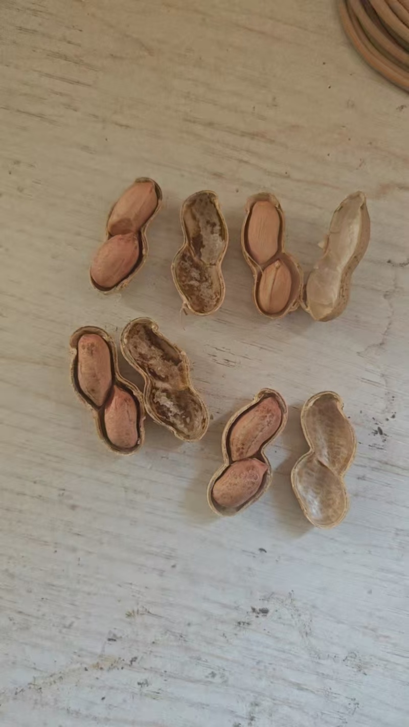 四粒红干花生