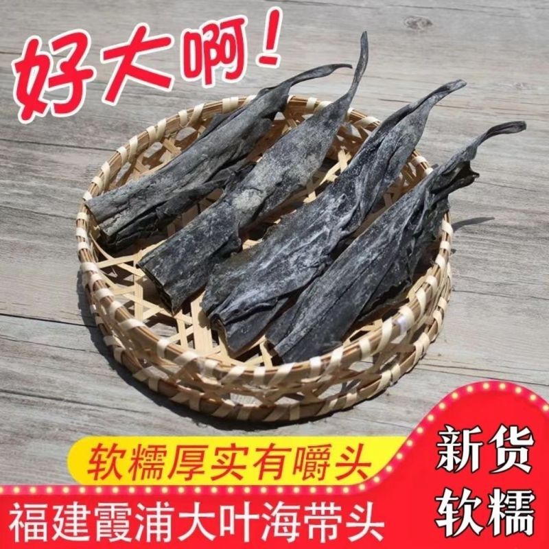 长海带头新货昆布特厚日晒厚实带头长海干货煲汤批发