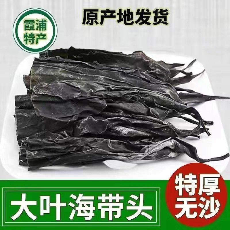 长海带头新货昆布特厚日晒厚实带头长海干货煲汤批发