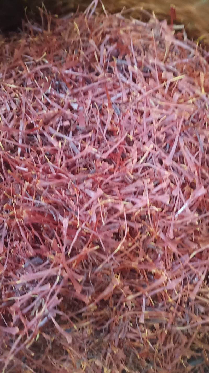 西藏红花