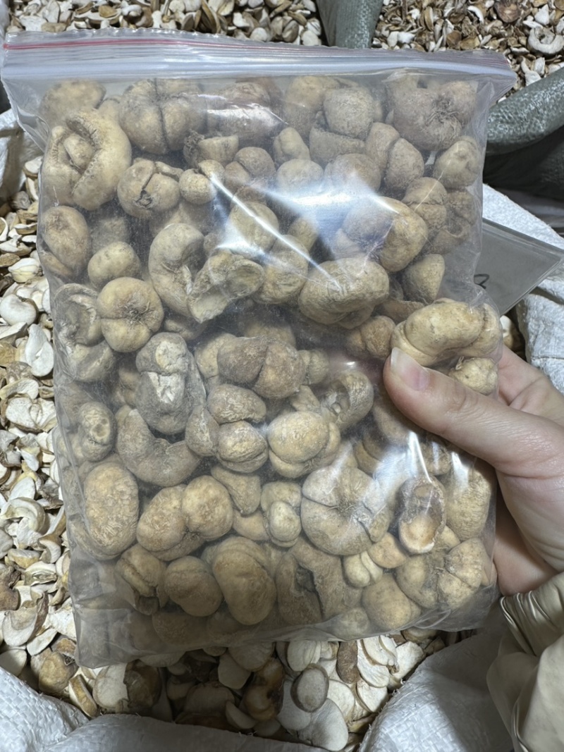 浙贝母批发浙贝规格齐全可供大货量大价优