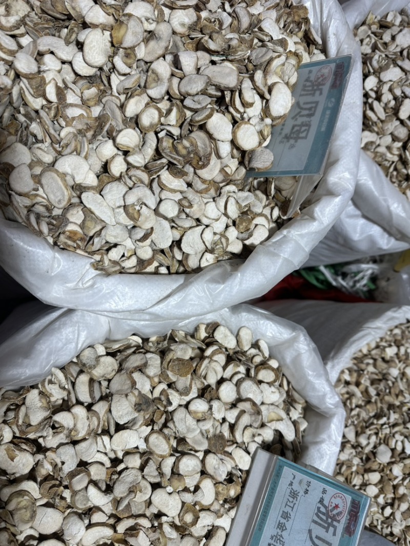 浙贝母批发浙贝规格齐全可供大货量大价优