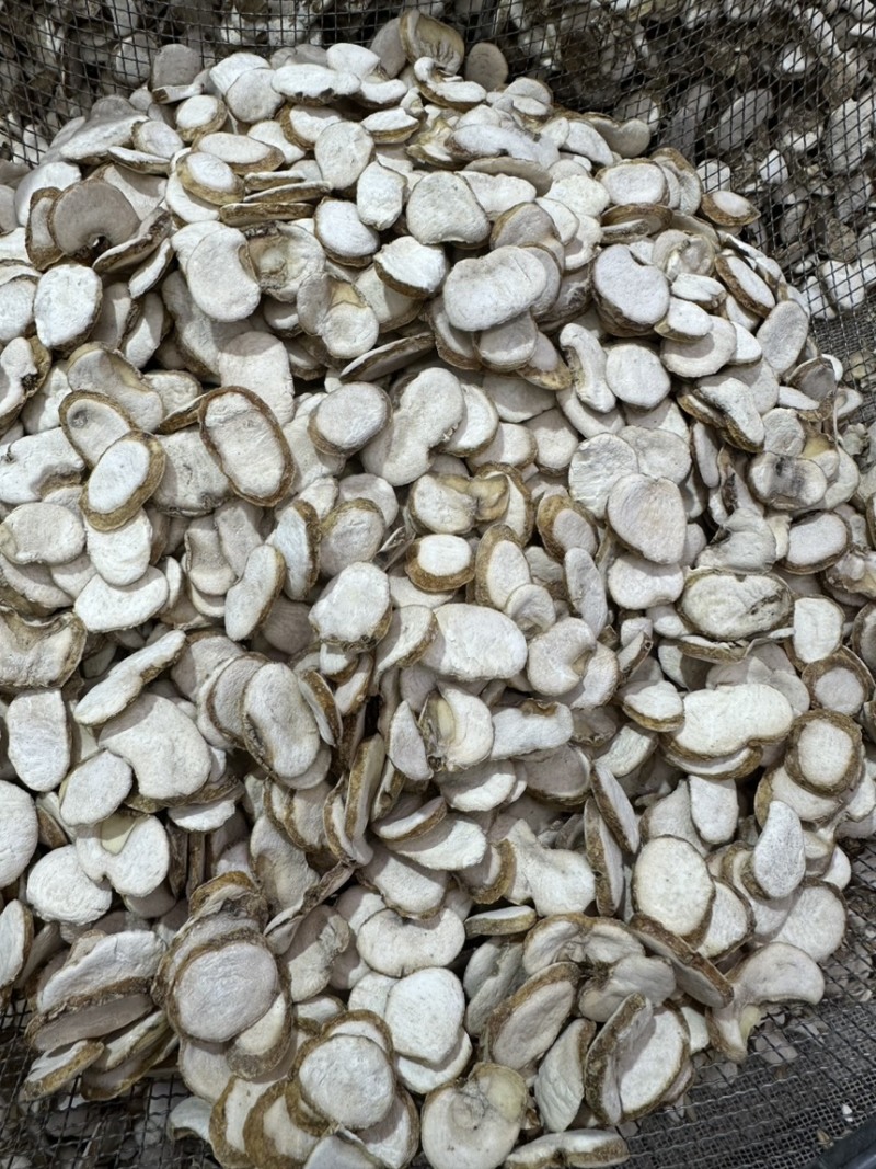 浙贝母批发浙贝规格齐全可供大货量大价优
