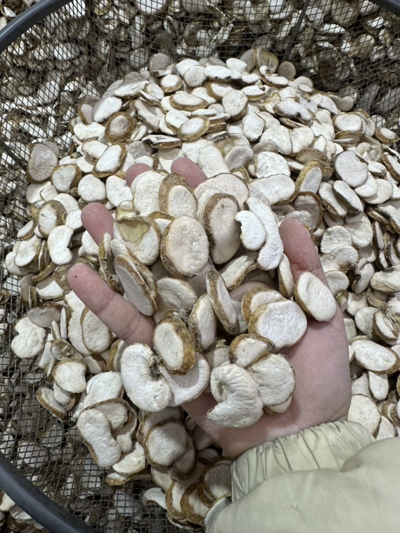 浙贝母批发浙贝规格齐全可供大货量大价优
