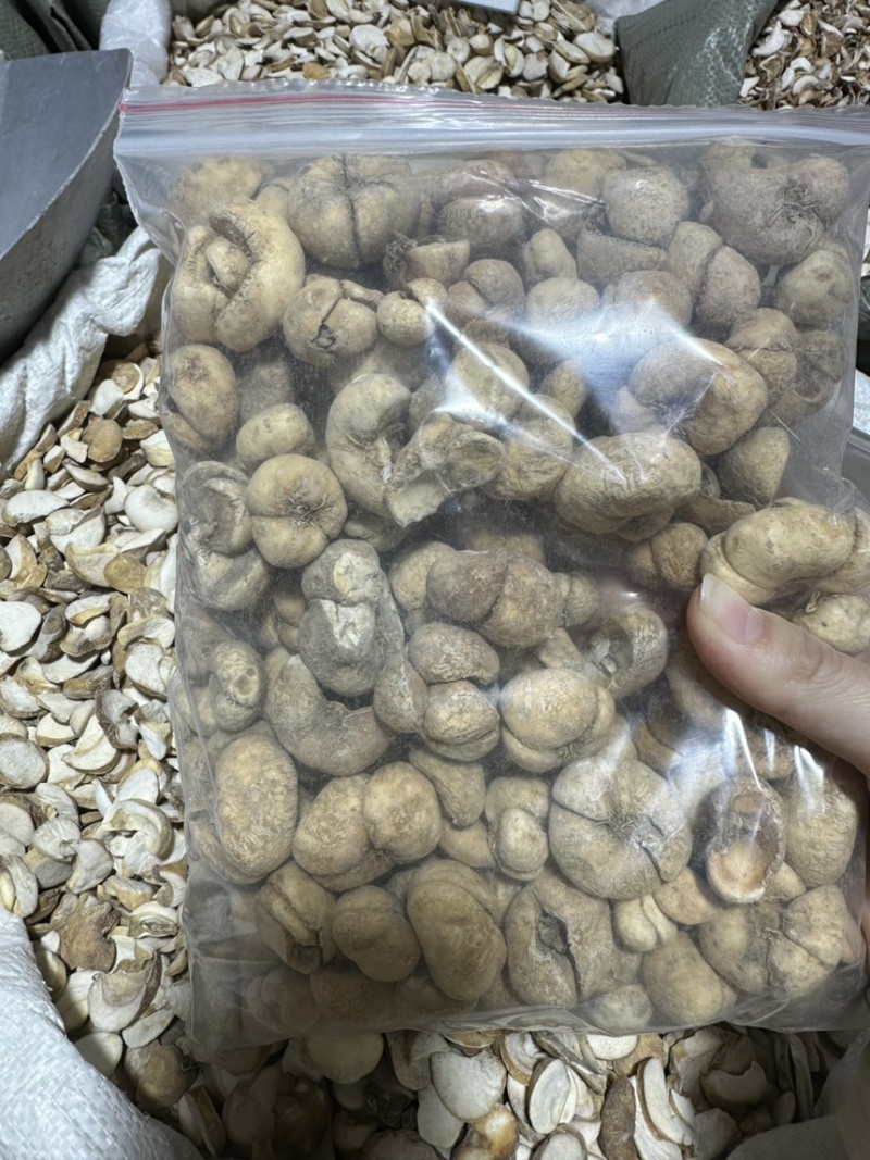 浙贝母批发浙贝规格齐全可供大货量大价优