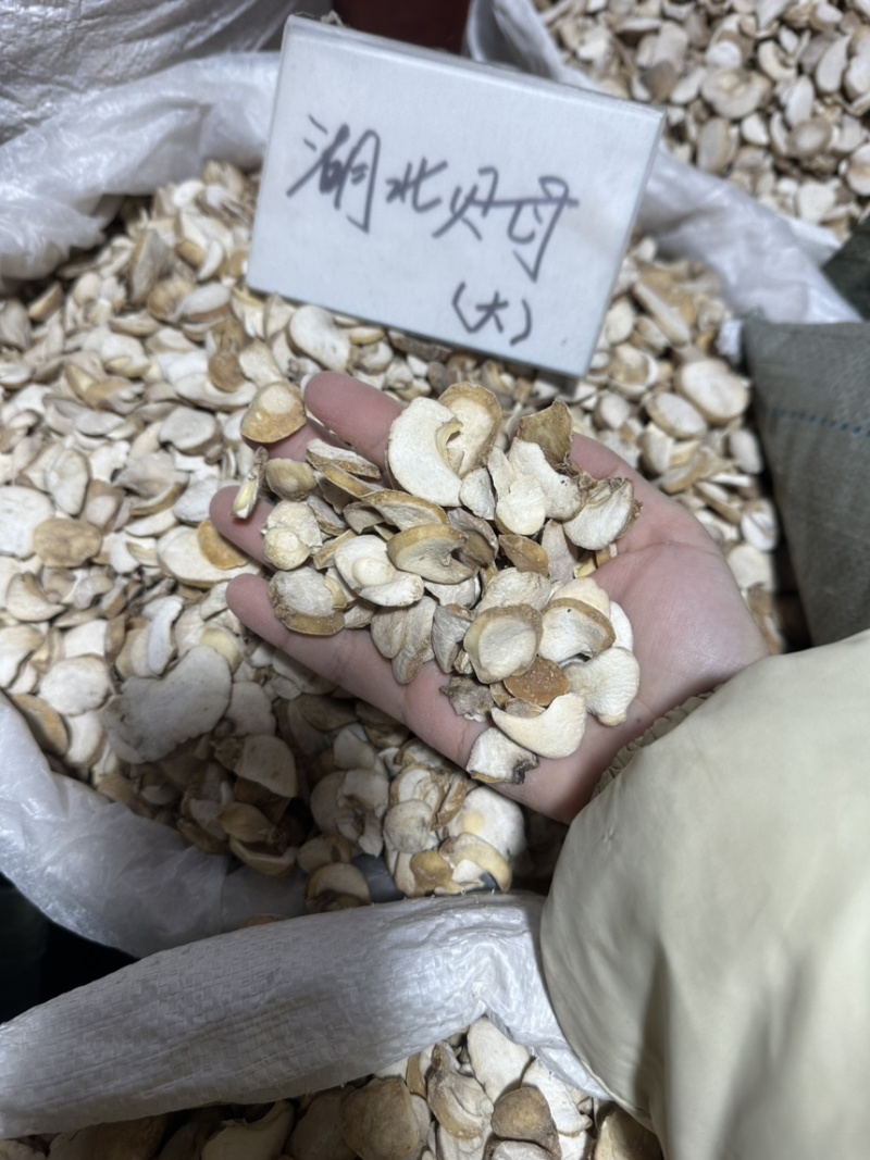 浙贝母批发浙贝规格齐全可供大货量大价优