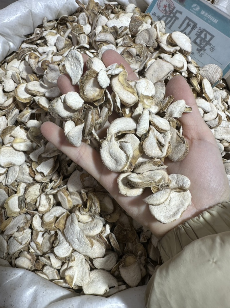 浙贝母批发浙贝规格齐全可供大货量大价优