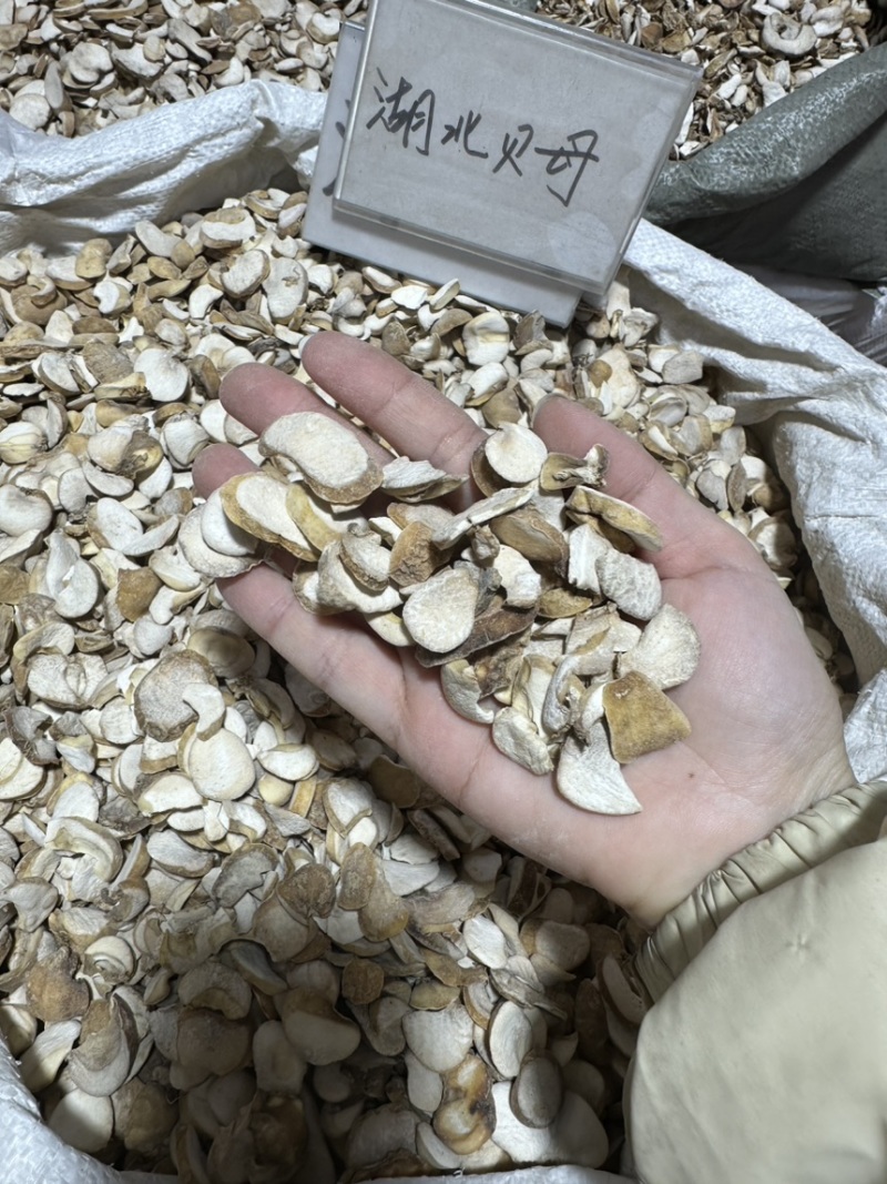 浙贝母批发浙贝规格齐全可供大货量大价优