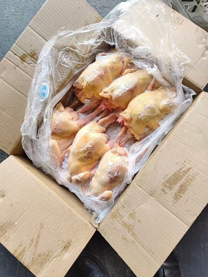 二级老母鸡