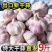 满乡喜】金乡紫皮大蒜头9斤彩箱囤货装新干蒜批发划算整箱特