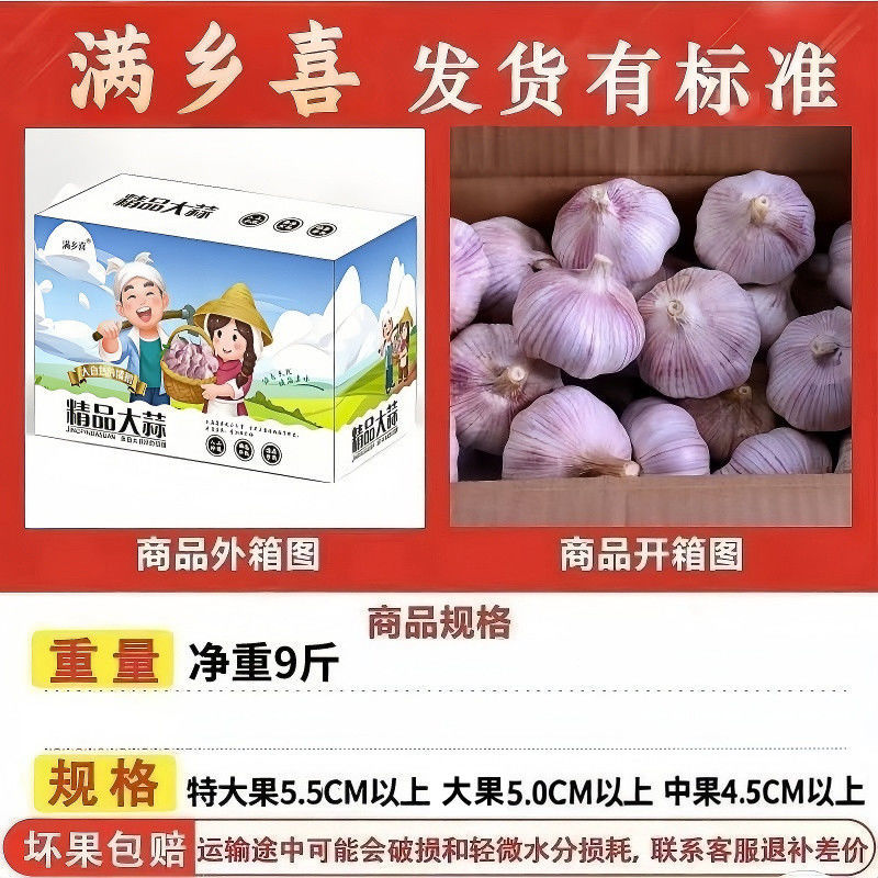 满乡喜】金乡紫皮大蒜头9斤彩箱囤货装新干蒜批发划算整箱特