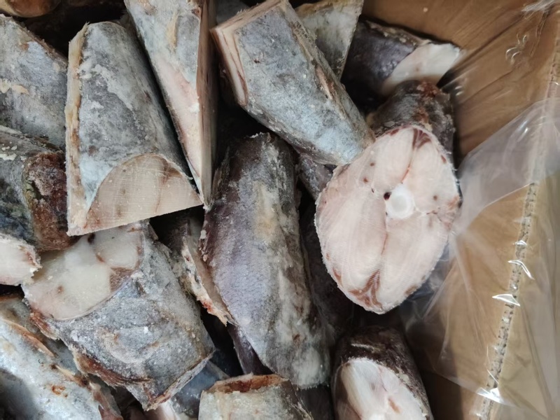 精品马鲛鱼货源充足对接全国货源充足质量保证欢迎咨询