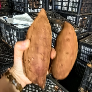 榴莲蜜薯