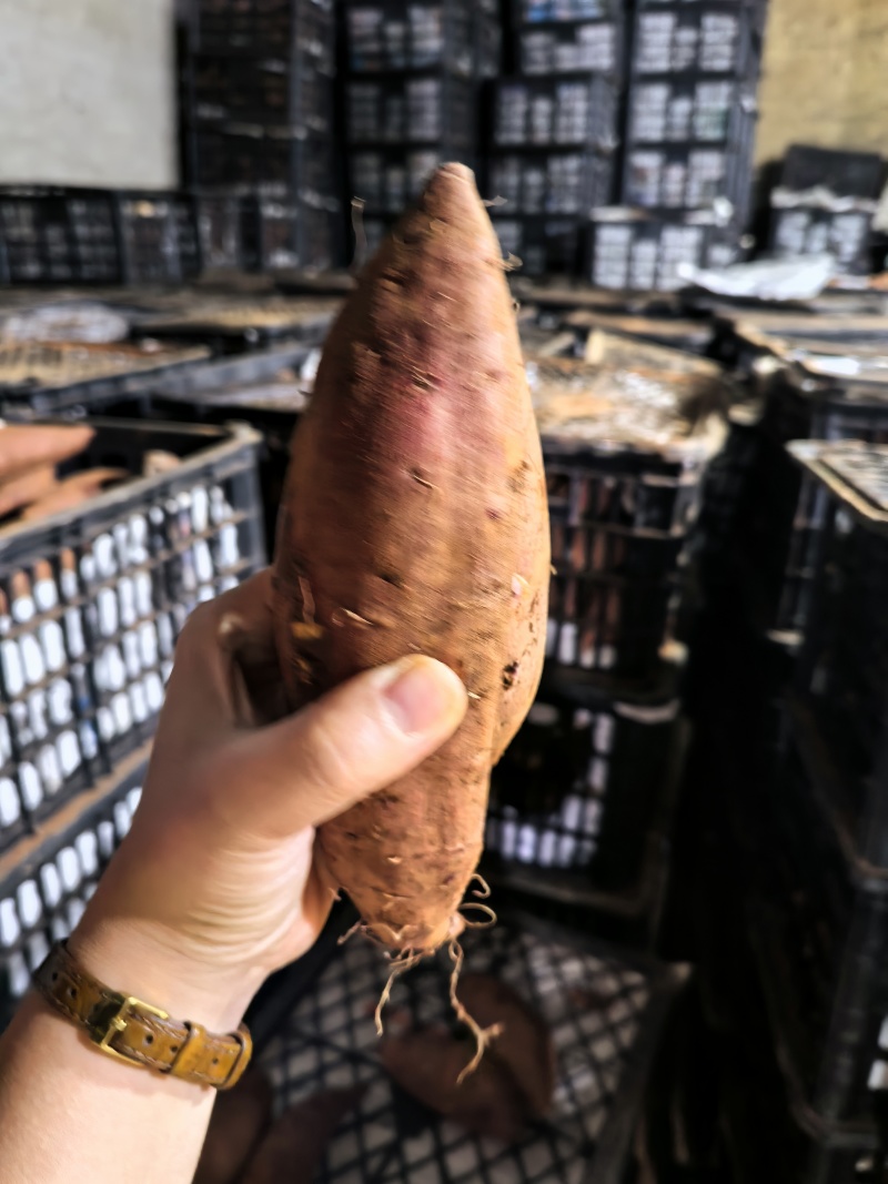 榴莲蜜薯