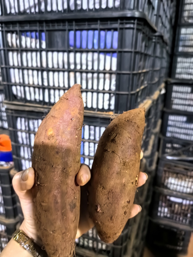 榴莲蜜薯