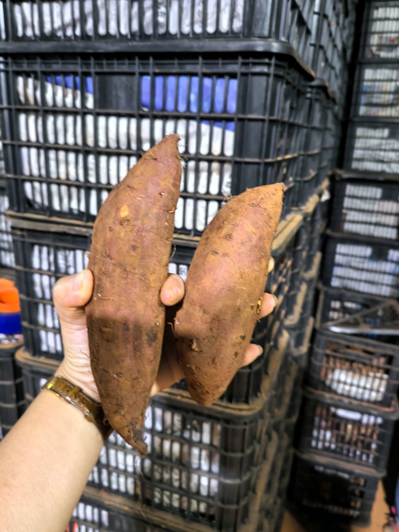 榴莲蜜薯