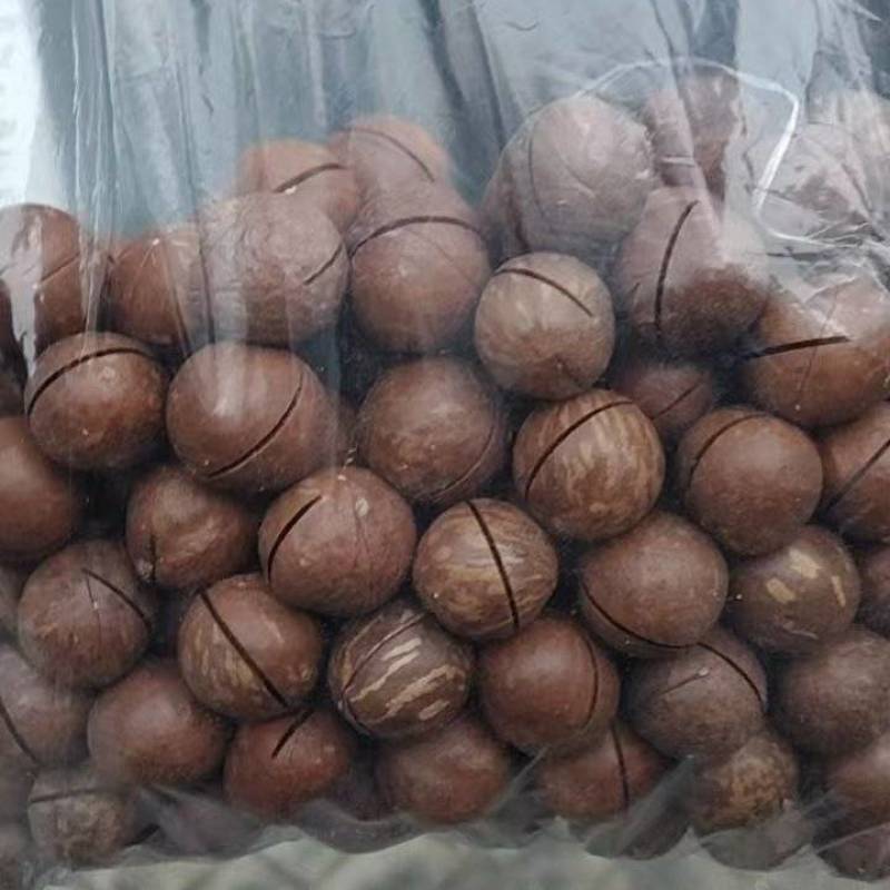 奶香味夏威夷果大颗粒散装坚果类坚果新货可批发一件代发