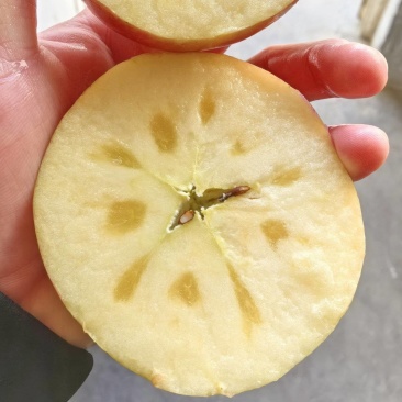 正宗新疆阿克苏苹果