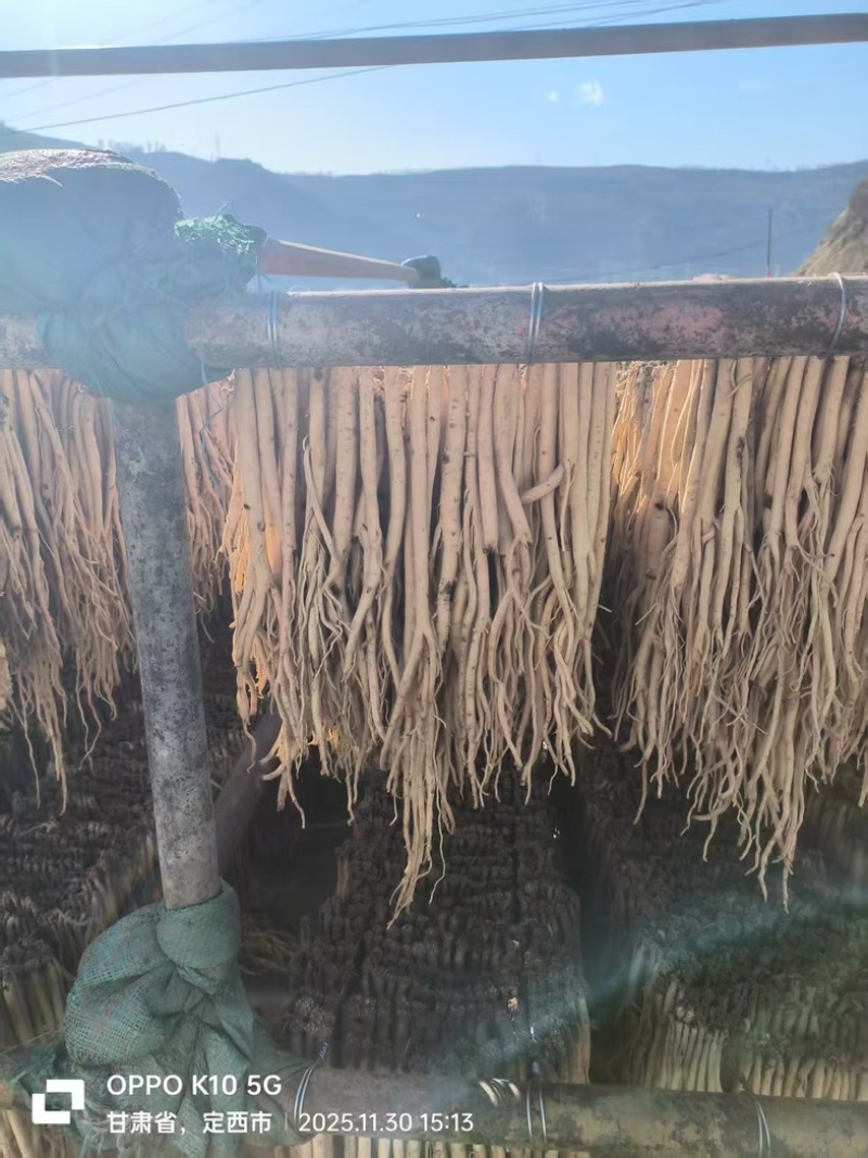 精品白条党参产地一手货源全国发货量大价优欢迎随时联系