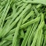 扁豆四季豆大量上市价格每天不一样