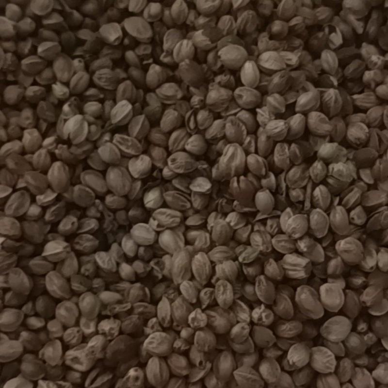自家种的大颗粒麻子