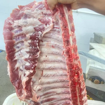 青猪通排，鲜冻青猪排骨