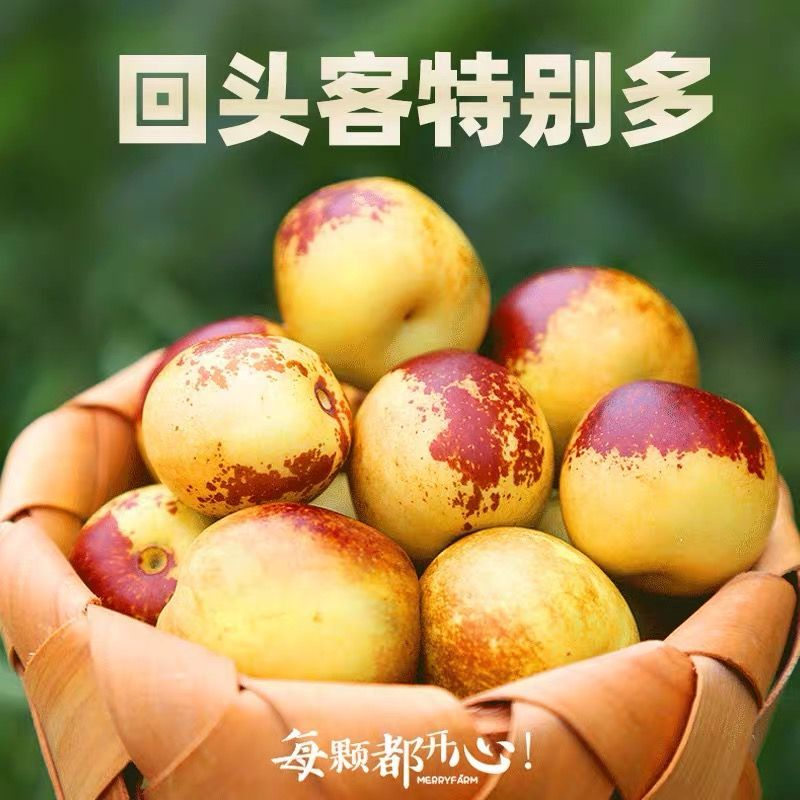 沾化冬枣，产地直发，质量保证，支持一件代发，欢迎来电咨询