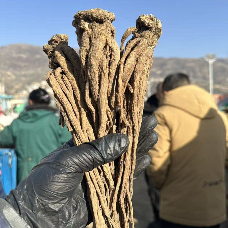 甘肃当归，无硫熏染，原产地直发，保质保量。