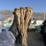 甘肃当归，无硫熏染，原产地直发，保质保量。