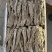 甘肃当归，无硫熏染，原产地直发，保质保量。